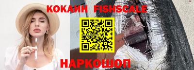 крисы Кулебаки