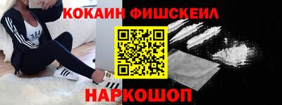 крисы Кулебаки