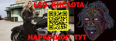 крисы Кулебаки