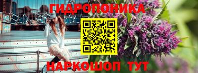 крисы Кулебаки