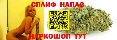 крисы Кулебаки