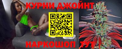 крисы Кулебаки