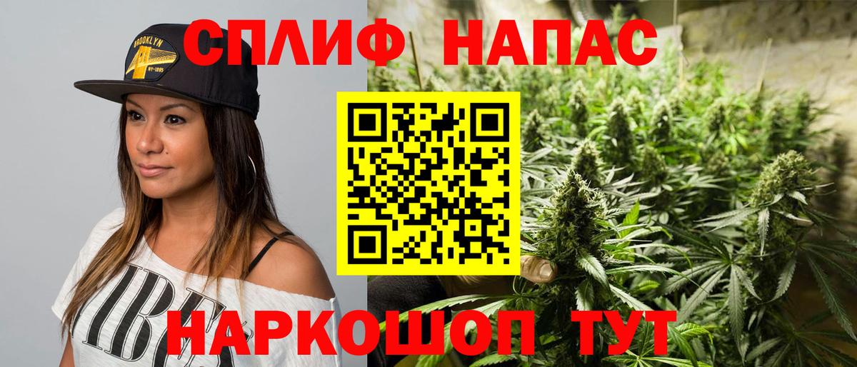 Бошки марихуана марихуана  Вход с VPN  Тихвин  Конопля VHQ  Марихуана VHQ  Канабис планчик 